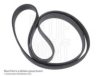 OPEL 04411412 V-Ribbed Belts